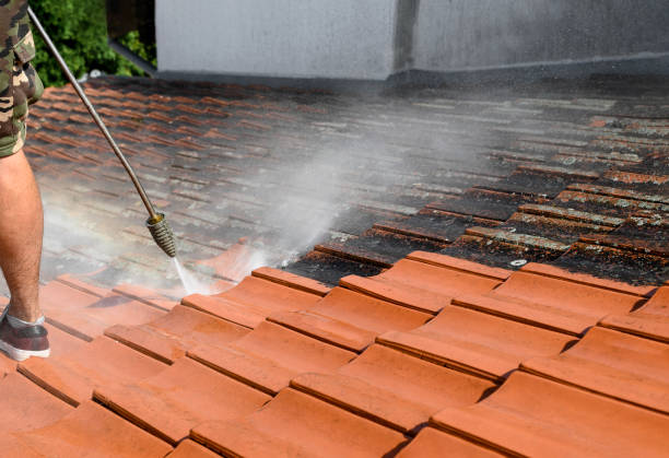 Best Pressure Washing Company Near Me  in Albers, IL