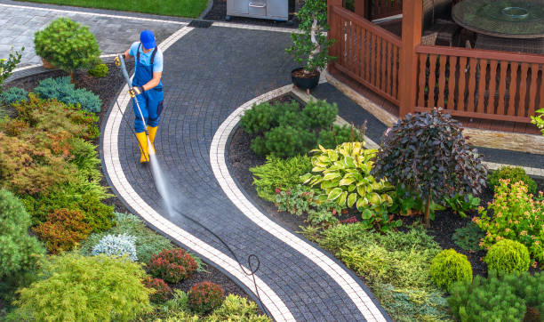 Best Commercial Building Pressure Washing  in Albers, IL